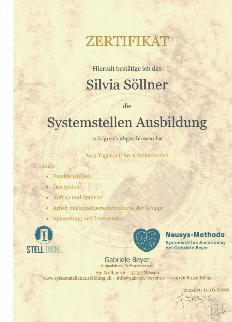 Zertifikat Systemstellen Ausbildung